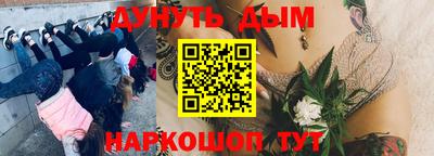 соль курить ск Кингисепп