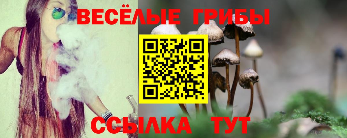 Котовск  Псилоцибиновые грибы Psilocybe  Вход с VPN 